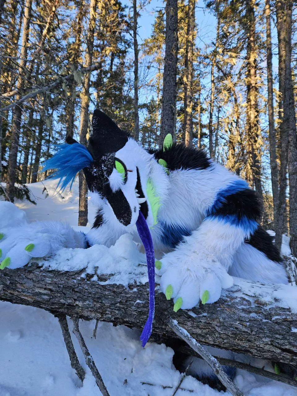 Hello There... posted by xXSpartan92Xx