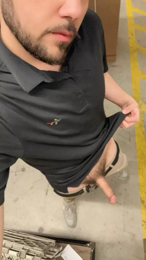 Heya bears by Majestic-Kiwi163