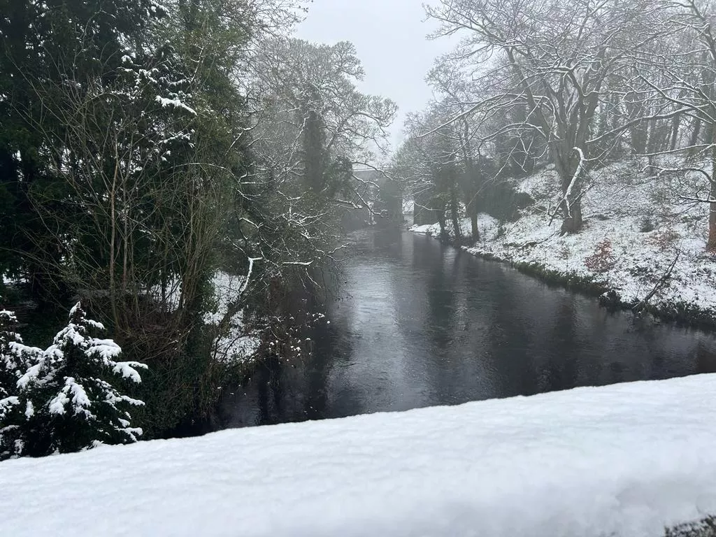 I wanna make a homemade porn video - can anyone help? posted by MineAwkward8095