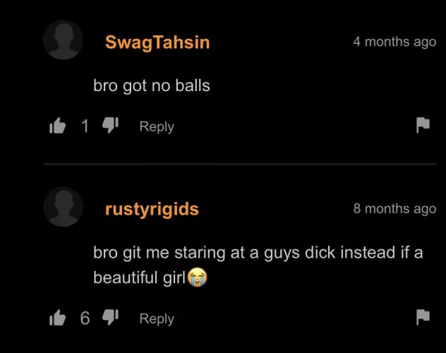 “im not gay i swear” by elonmuskraty