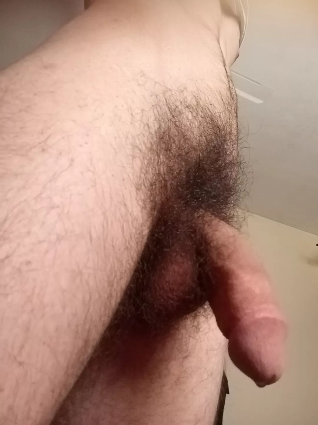 like some hair ?  posted by ExaminationSevere628