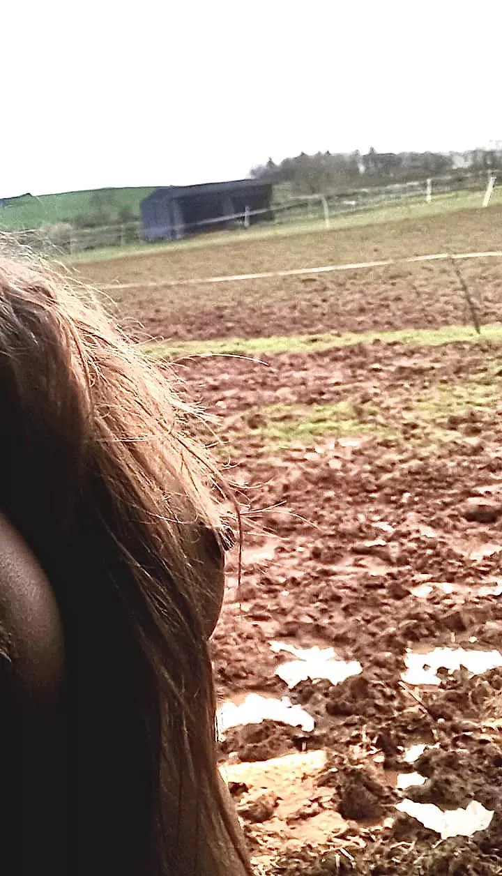 Literally freezing my tits off this morning at the stables  posted by NakedCountryGirl