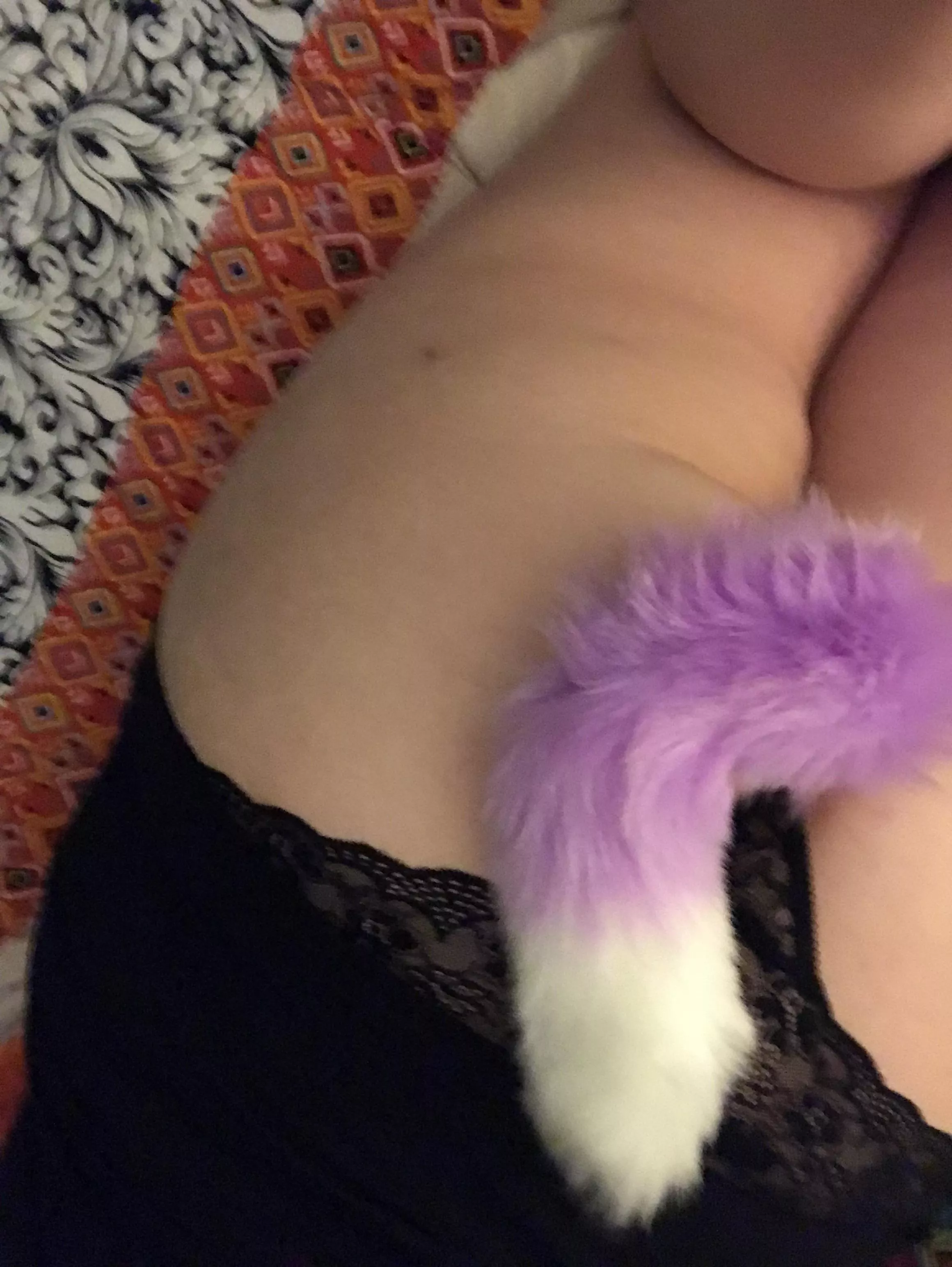 Meow 😸  posted by rosie5683-