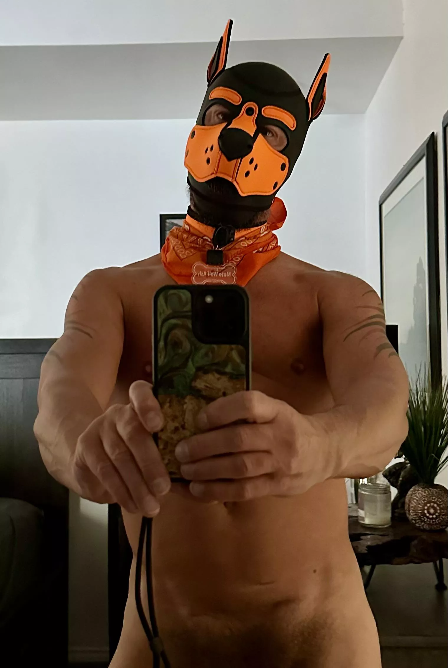 Morning Pups! posted by MotoWolfAZ