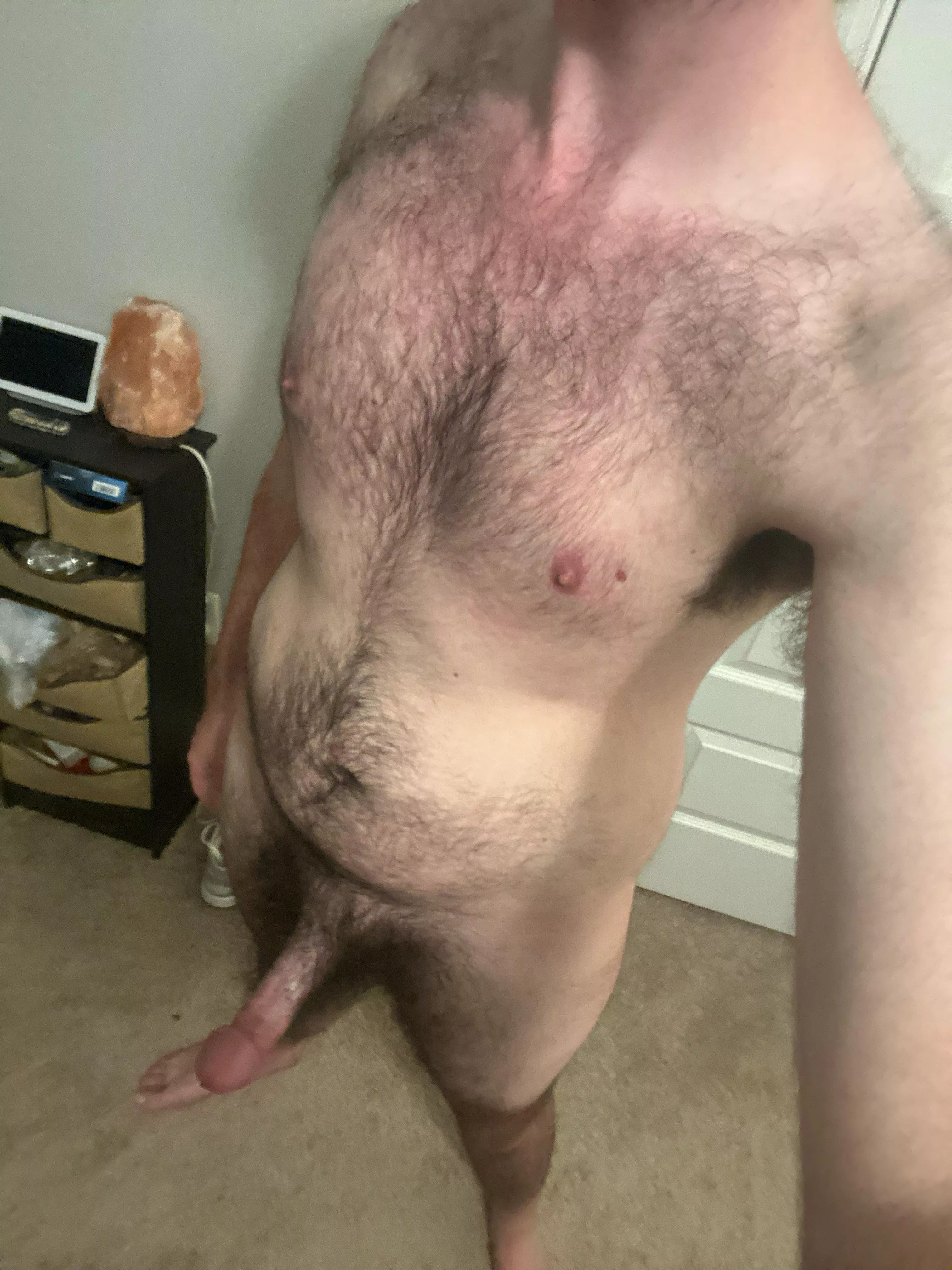 My furry chest needs to be rubbed  posted by AfternoonSensitive36