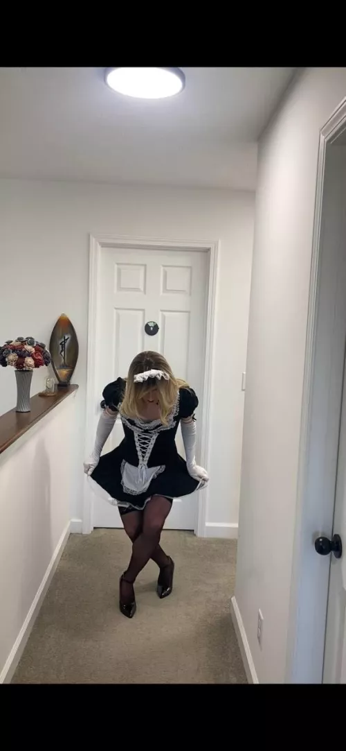 My married sissy Bree showing me what a good sissy maid she is behind her wife's back! What do you think of her? by Forward_Speech_9340