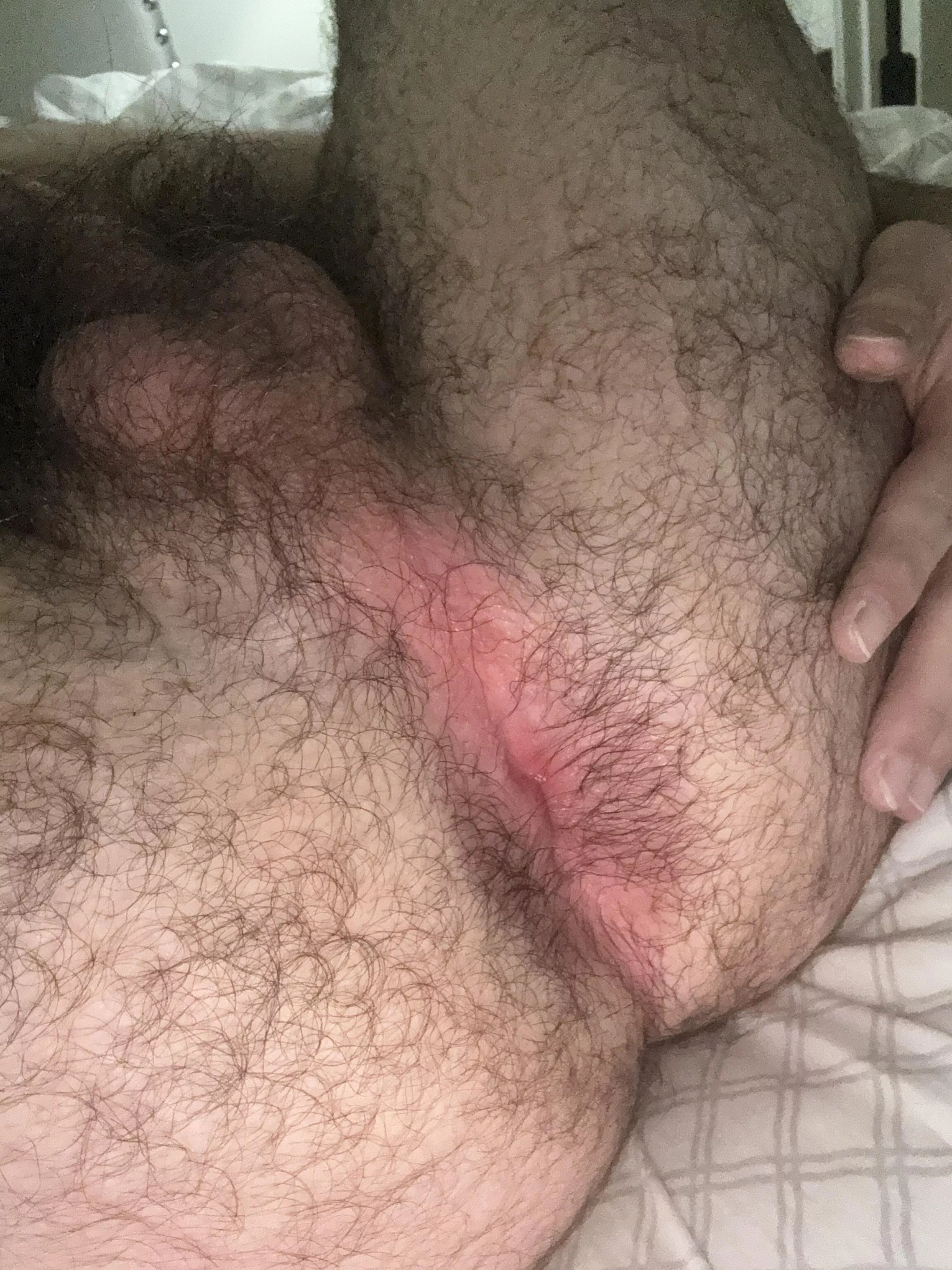 Need some one to breed my hole  posted by AfternoonSensitive36