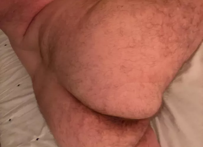 Ready and waiting. by Bear_Gaymer