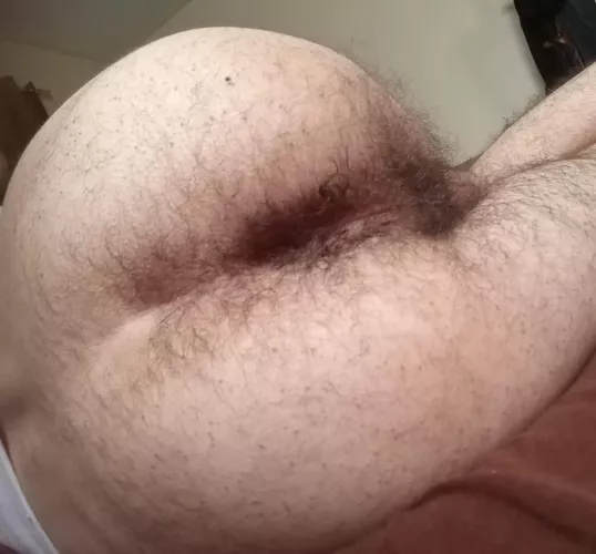 some hairy ass  by ExaminationSevere628