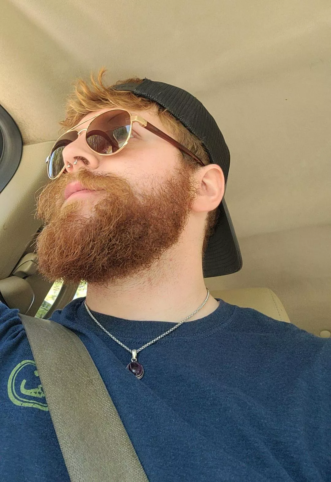 The sun has come around, again!  posted by kaderedstone