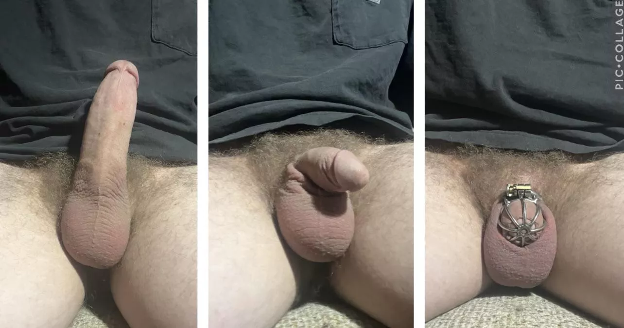 Well, which one are you taking? Hard soft or caged? posted by Working_Long2129