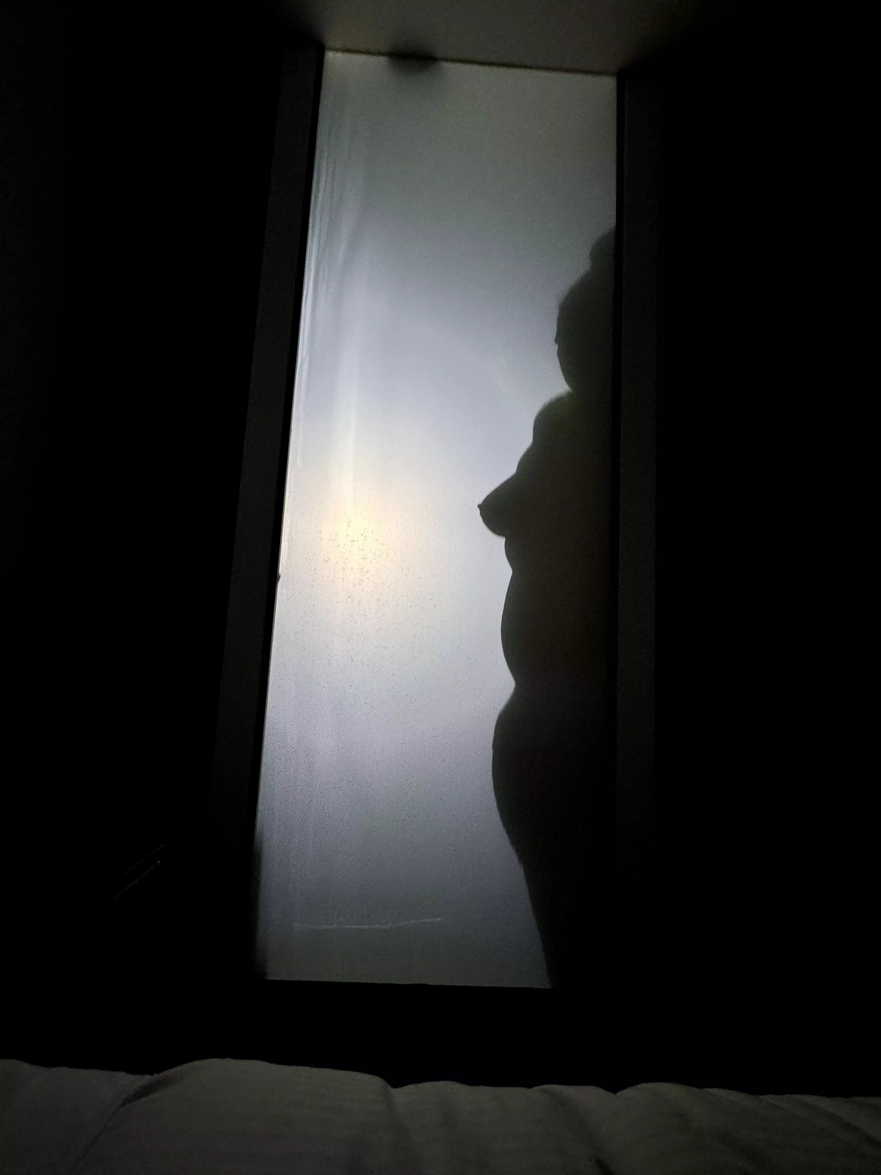 When the hotel bathroom provides for some shadow [F]un you just have to put in a show for Wilbur.  posted by MollyandWilbur