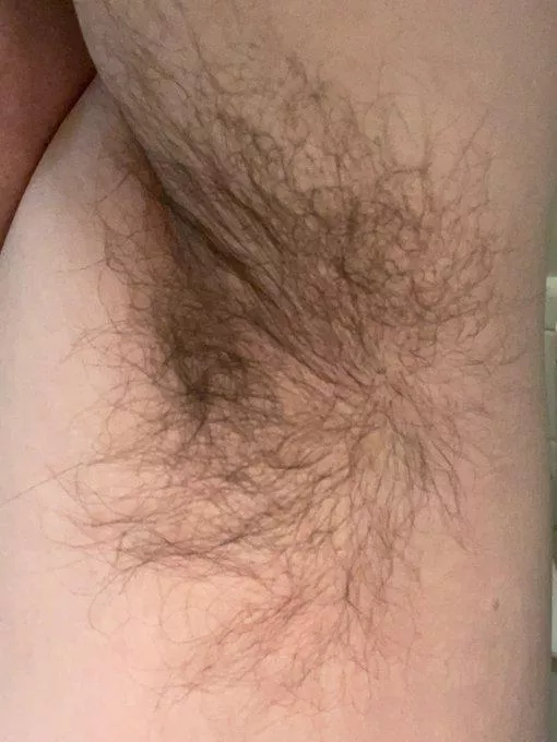 Who wants to check out my pits and see if they are clean enough? posted by undiefan_78