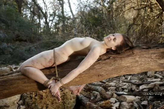 woodland fun posted by Mundane-Employer-719