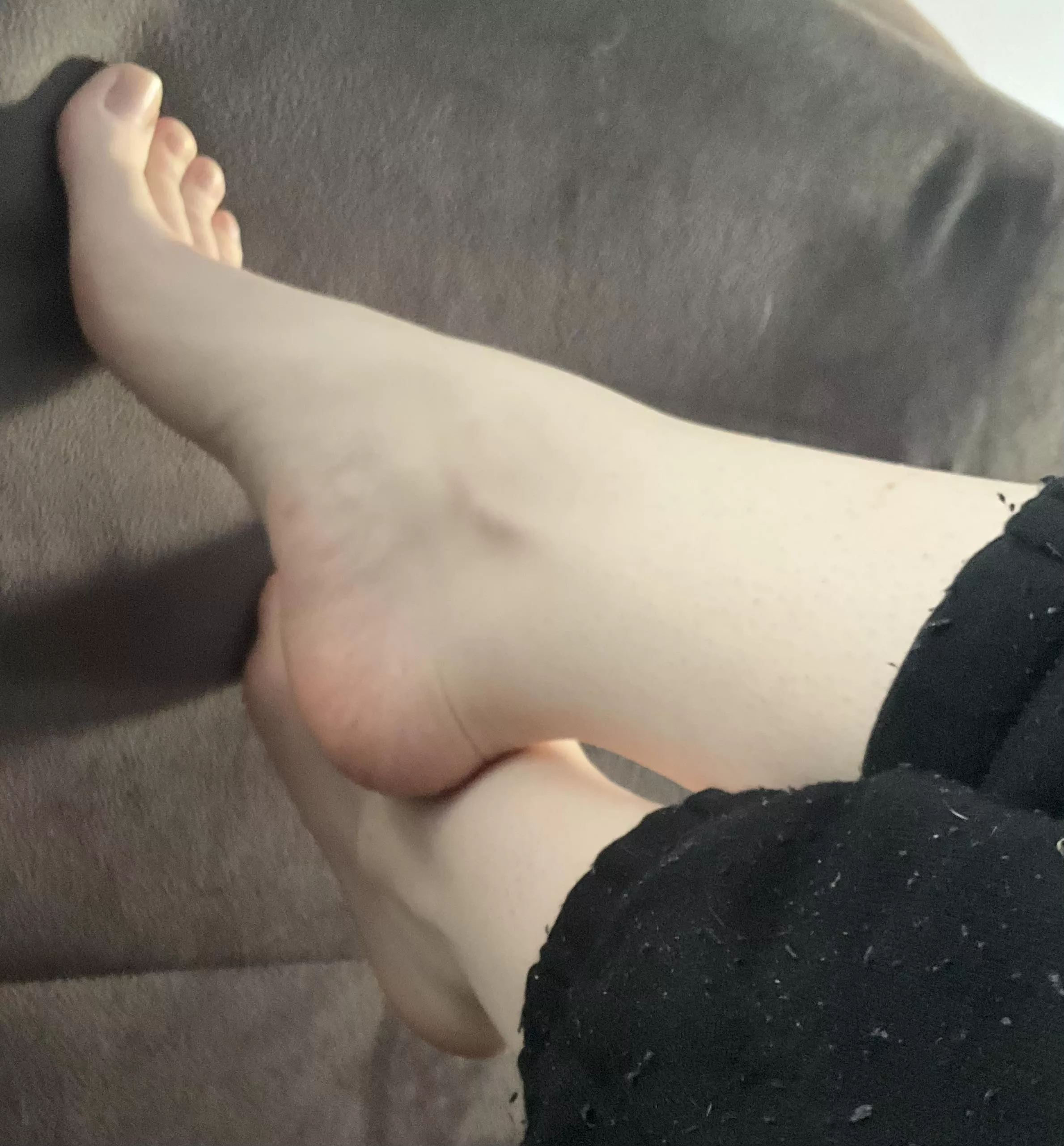 Would u 👅 or 🍆 first? posted by MissPirait