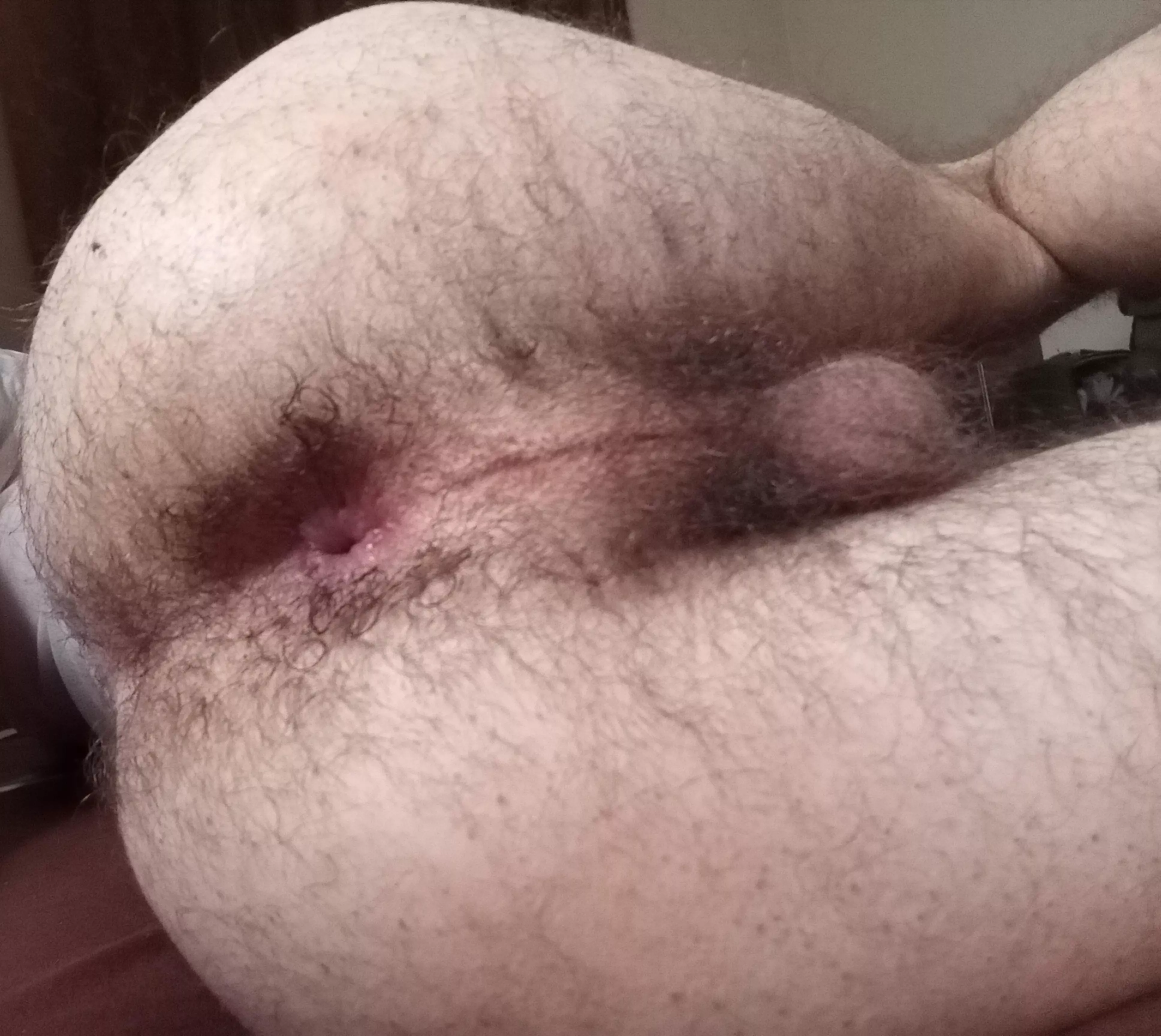 would you play with my hairy ass?  posted by ExaminationSevere628