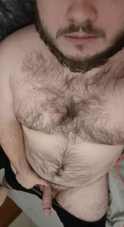 24 [M4A] #chicago, Plainfield - Any love for this hairy dadbod? by joshnsfw2415