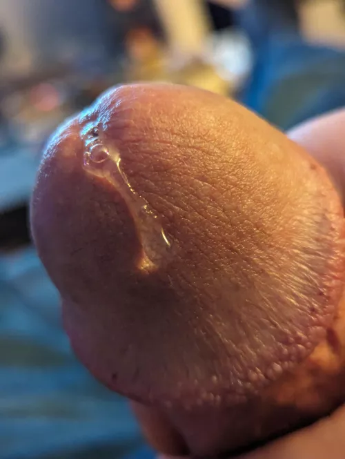 A taste of things to cum.  by dayl0gic