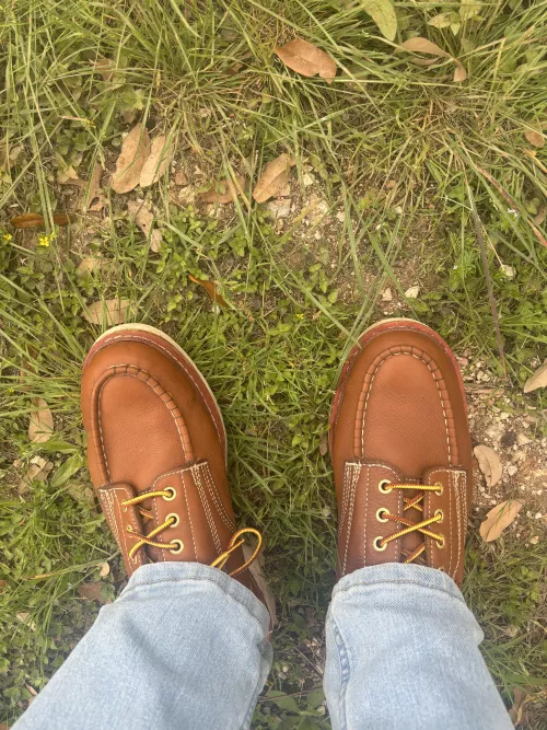 Any love for Rock Roosters around here? by the-realTfiz