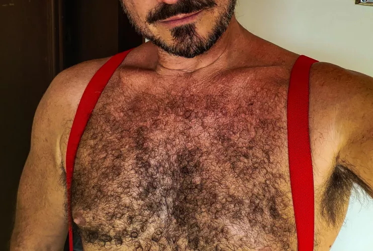 Bear or Otter? Always wondered, never asked. by hrh409