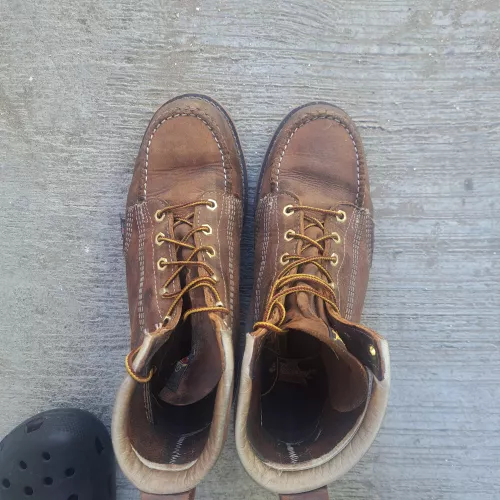 Busting out the thorogoods again, have some questions.  by PB_116