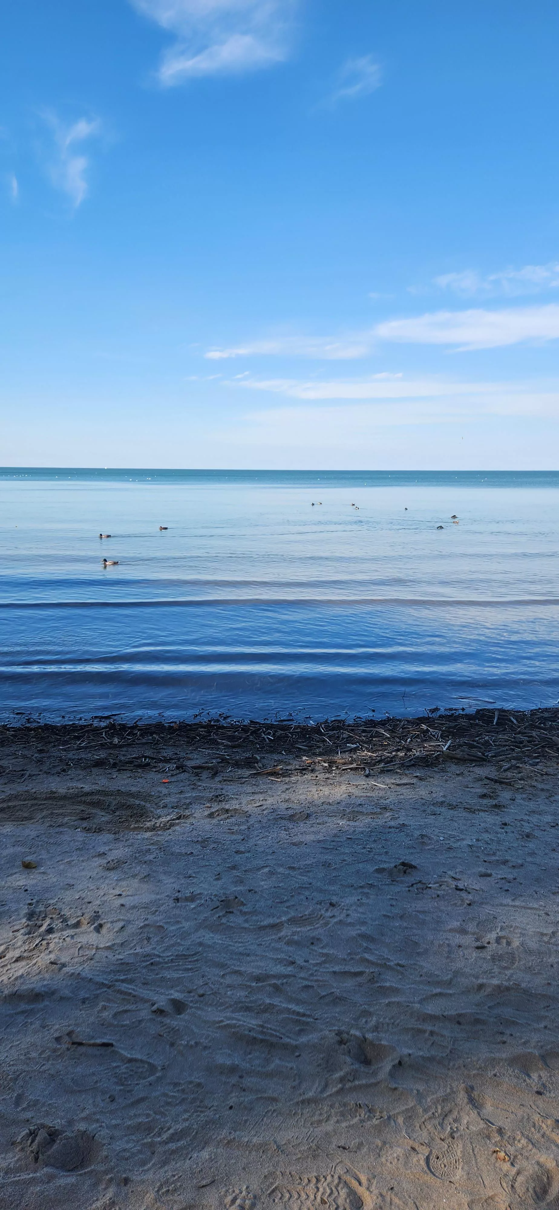 Calm Beach posted by Ok_Membership2016