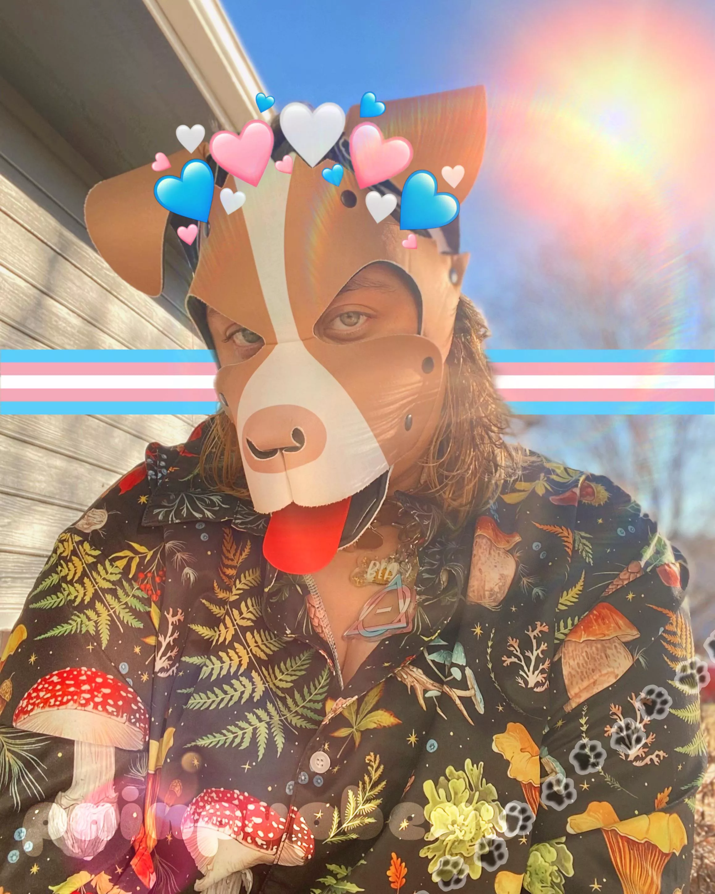 Can you see me? :] posted by beau-lilpup