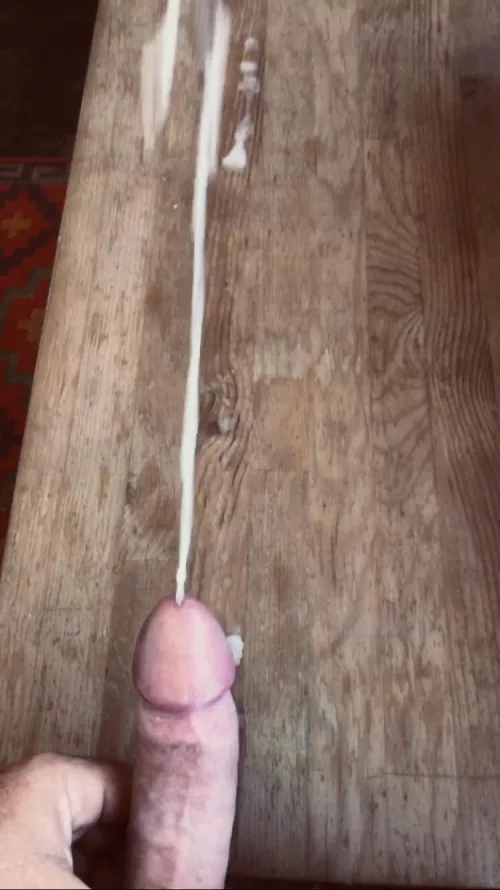 Cream filling anyone 🐰? by Low-Culture-3992