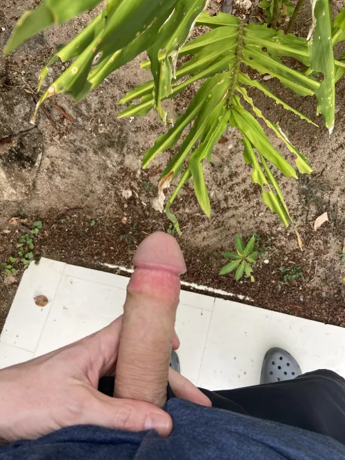 Gotta whip it out on vacation by throwaway183216