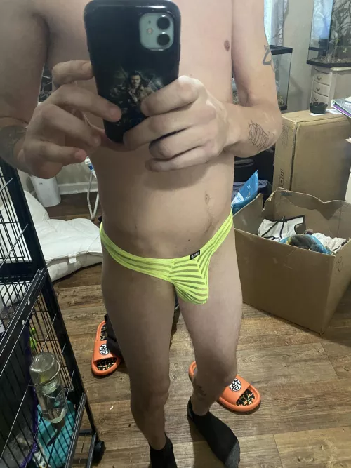 Hope y’all like by Historical_Arugula36