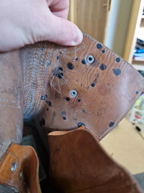 Is this mold? Can i get rid of it? by NickDemert