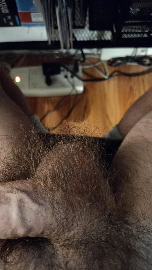 Just some hairy balls  by Southga1993