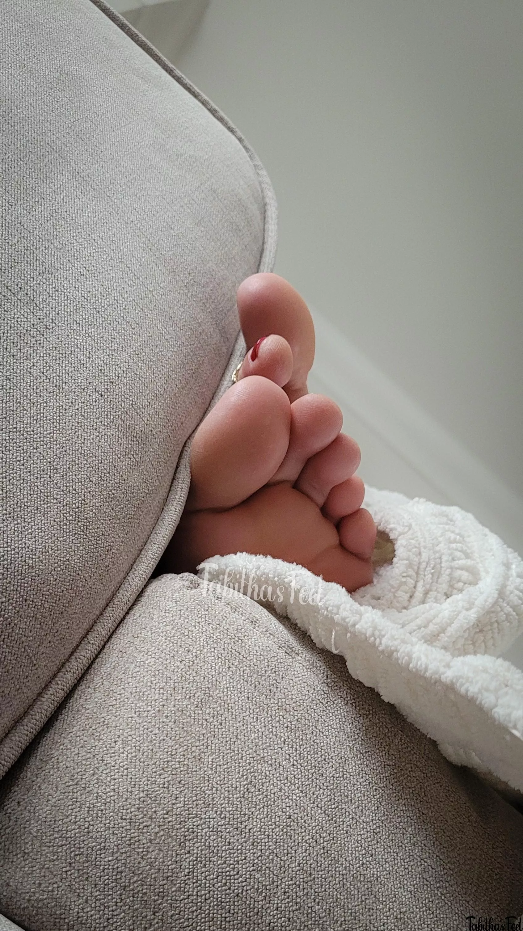 Lazy morning, I'm ready for a massage any takers? posted by tabithasfeet