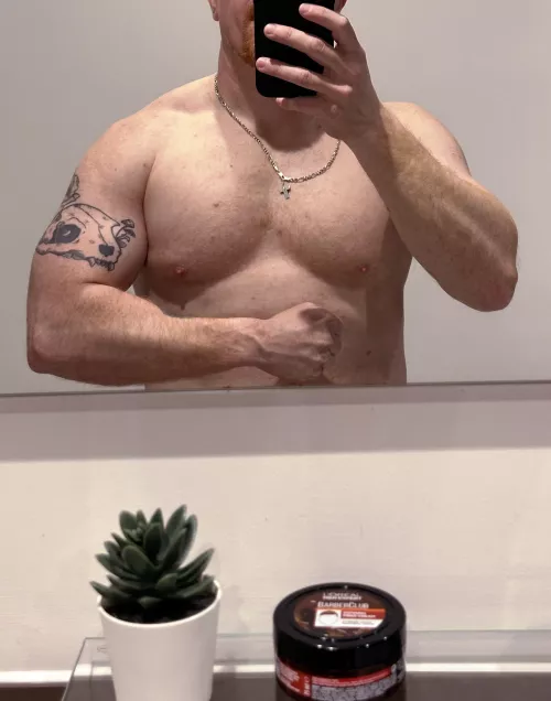 Meet my friend, Frank, the fake plant 😃 by _TtTToriginal_