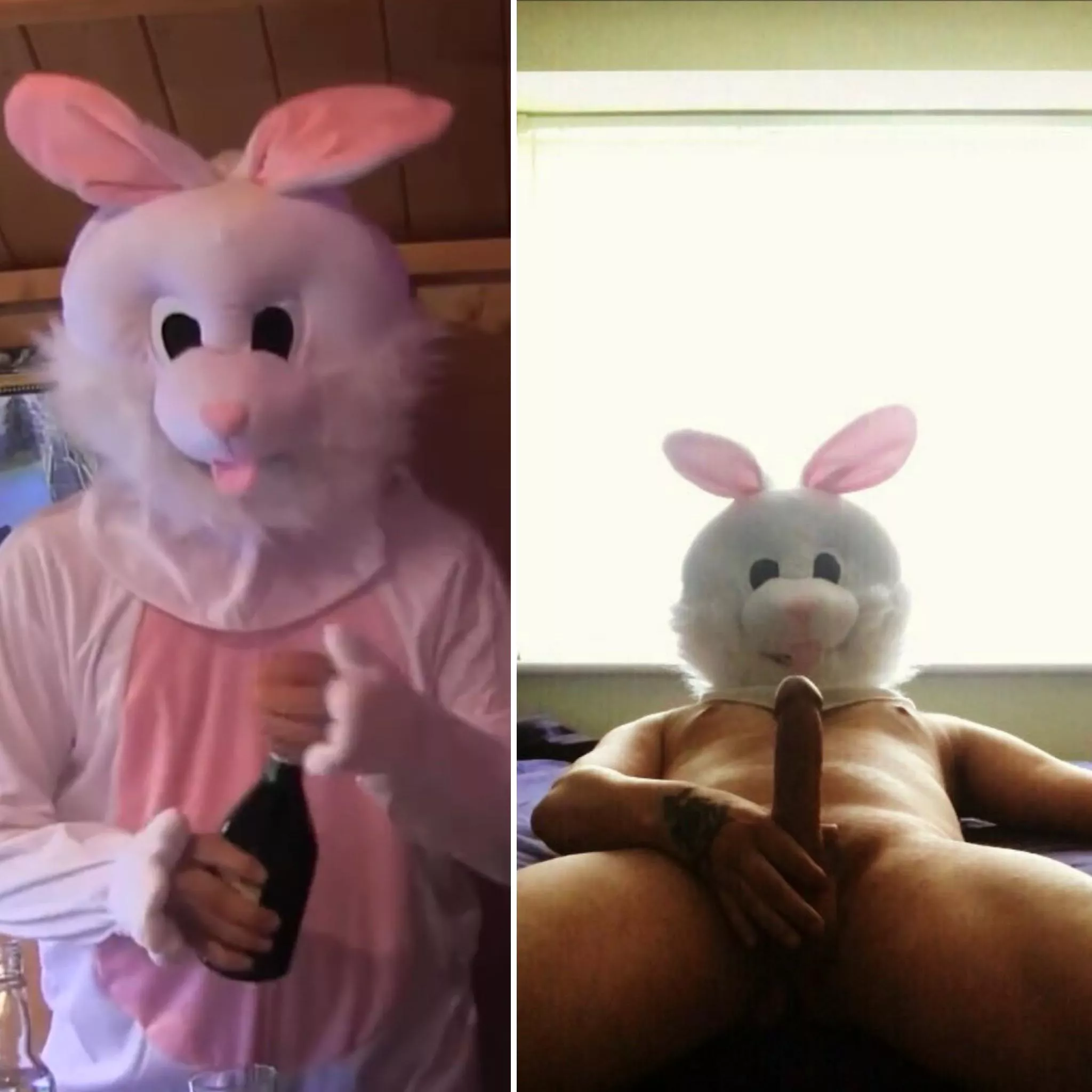 On/Off (Easter Edition) posted by dickinsect