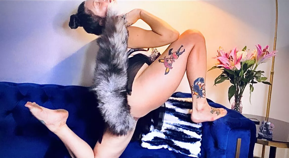 Pet me pwease!! posted by Vivivixins