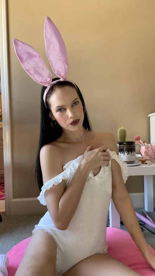 this bunny loves to fuck  by lorenblxck