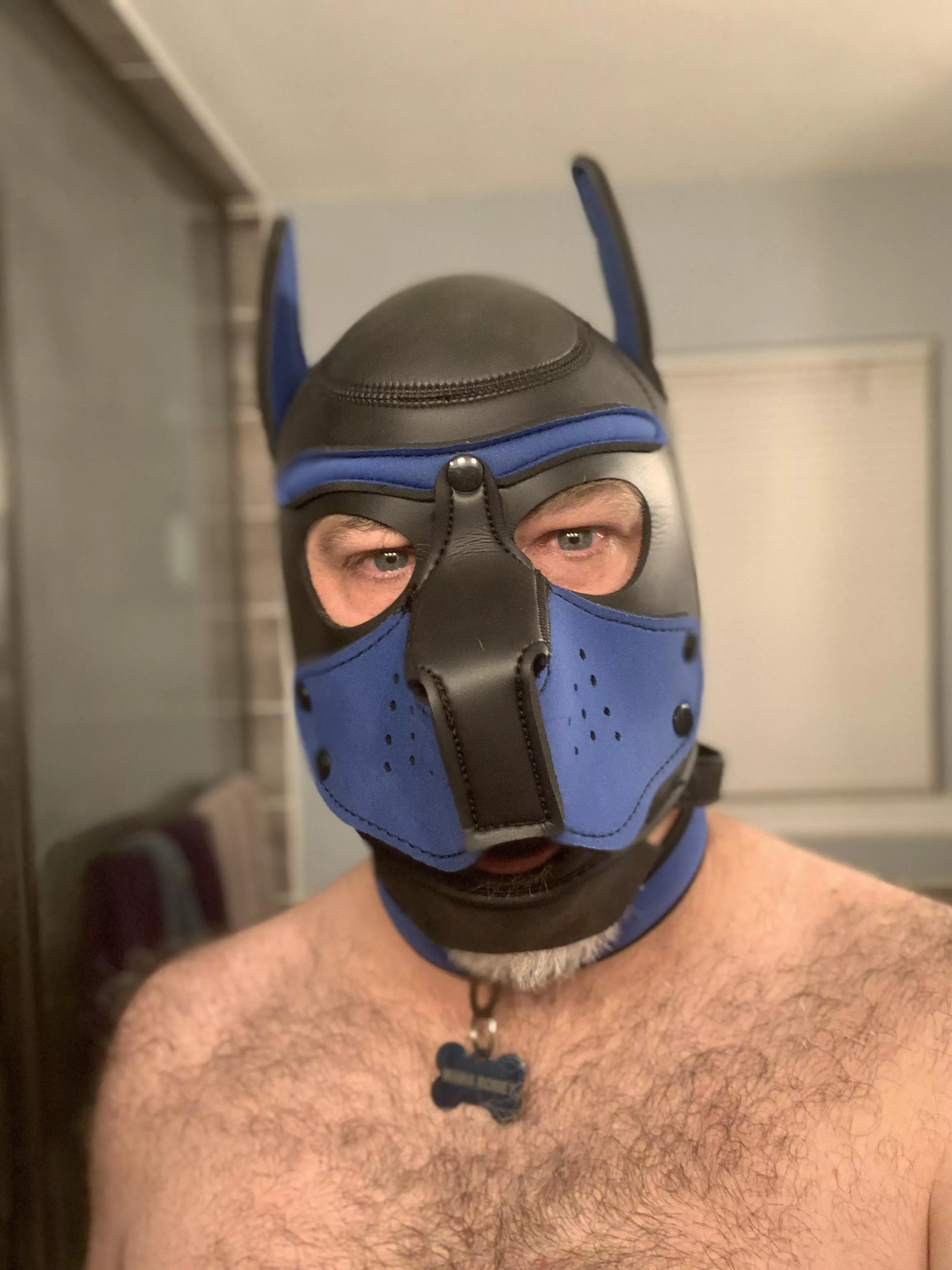 This puppy’s owner is about to fist fuck him! posted by mikey9821