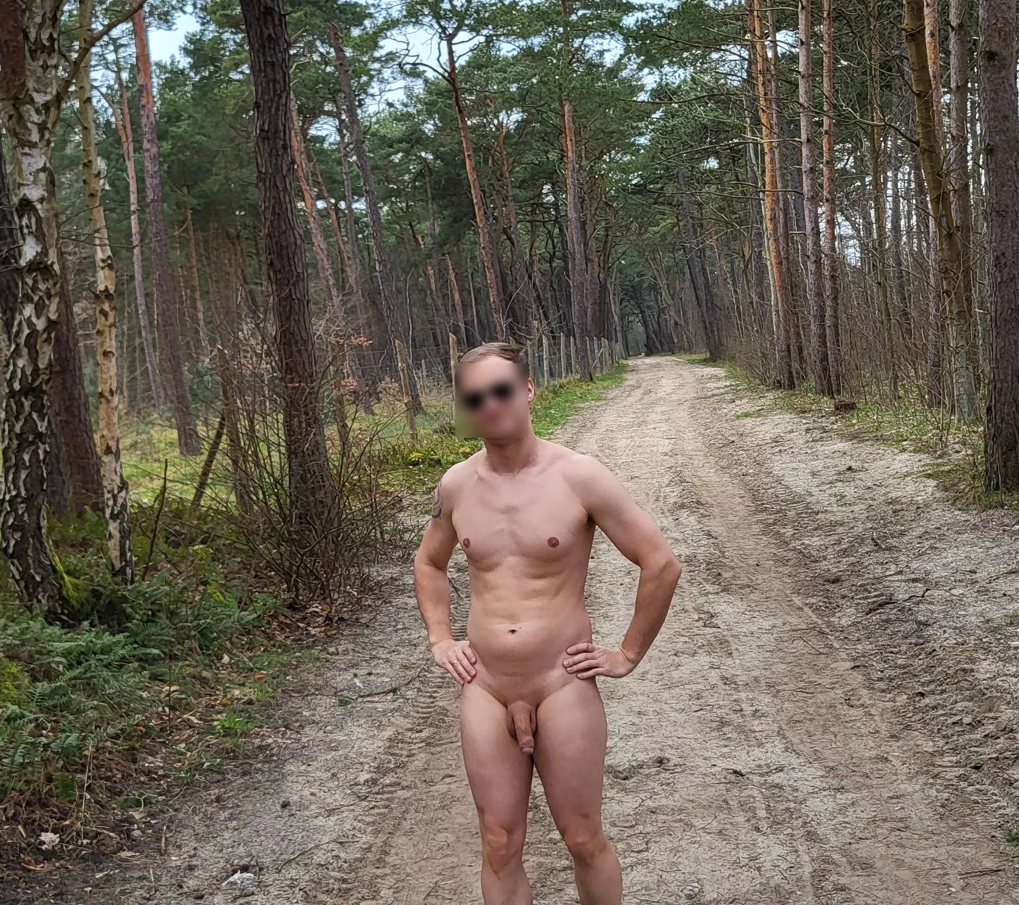 A walk in the forest posted by ourlitleadventures