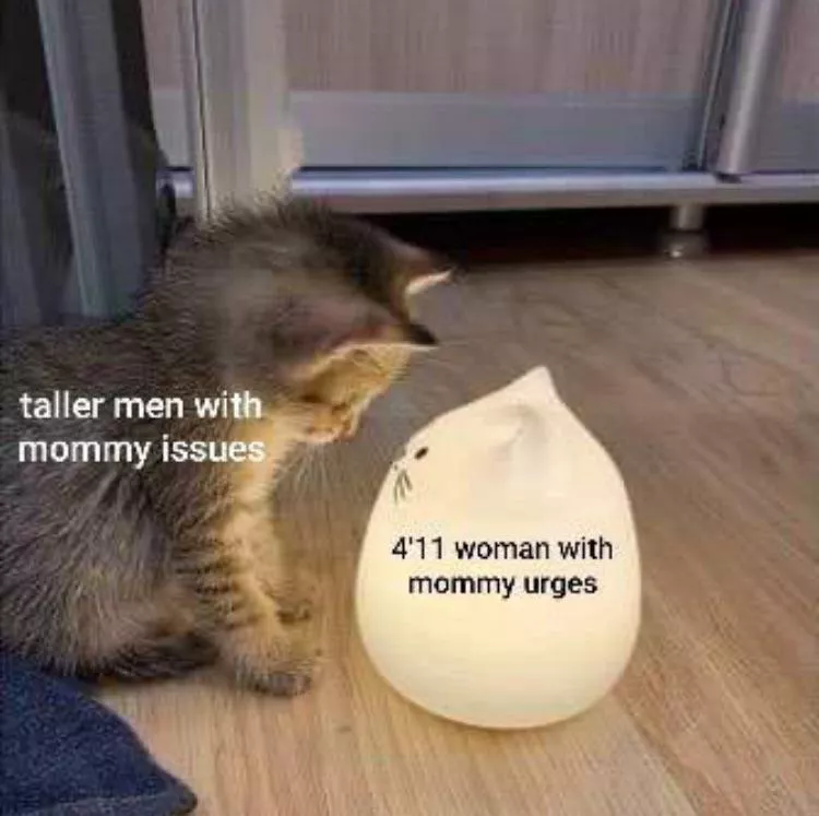 All I want in life  posted by Icy-Selection-7047