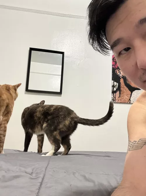 Back again! ❤️ by rossisanasshole