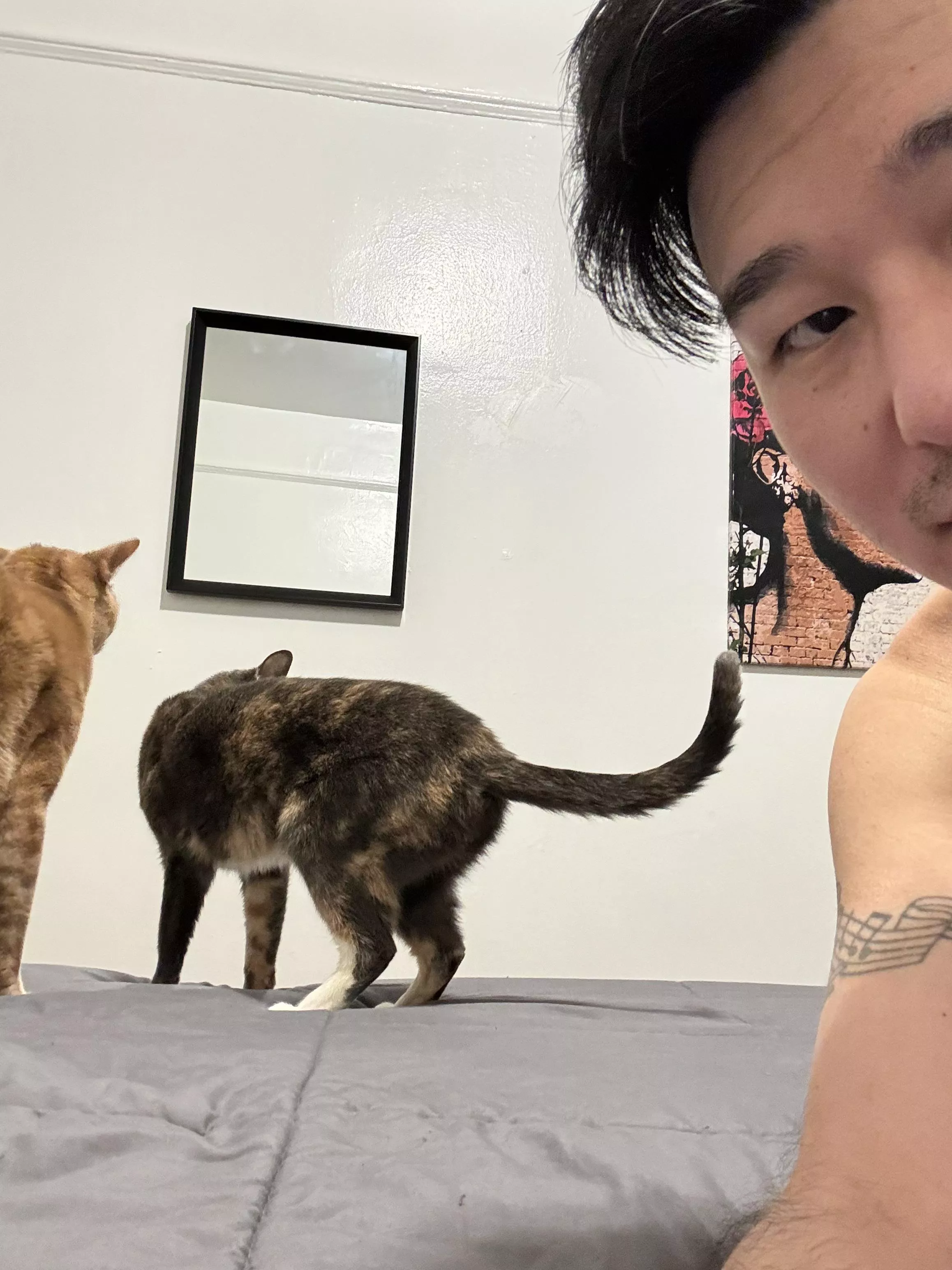 Back again! ❤️ posted by rossisanasshole