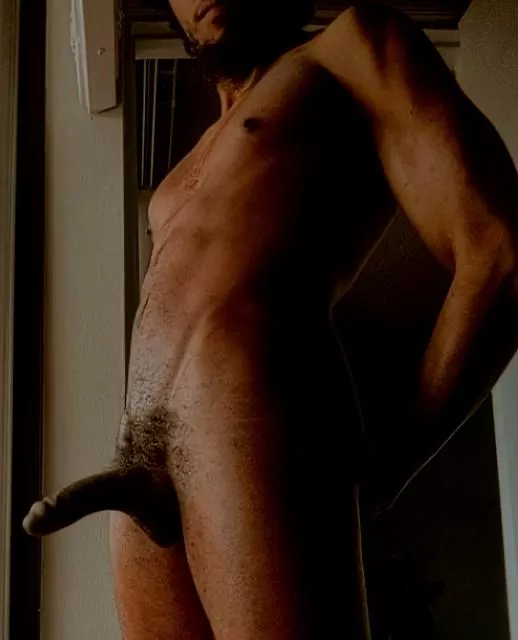 Bunnies Beware if I'm on the Hunt... posted by DarXydeDisplayofDom