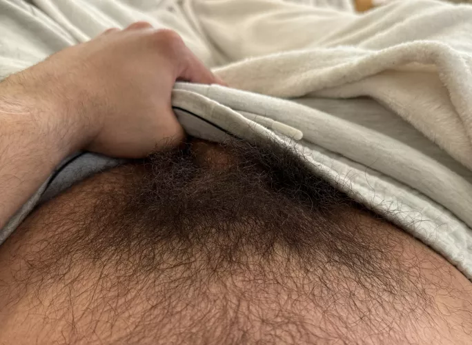 Bush not hairy enough? by mglnglvsqz