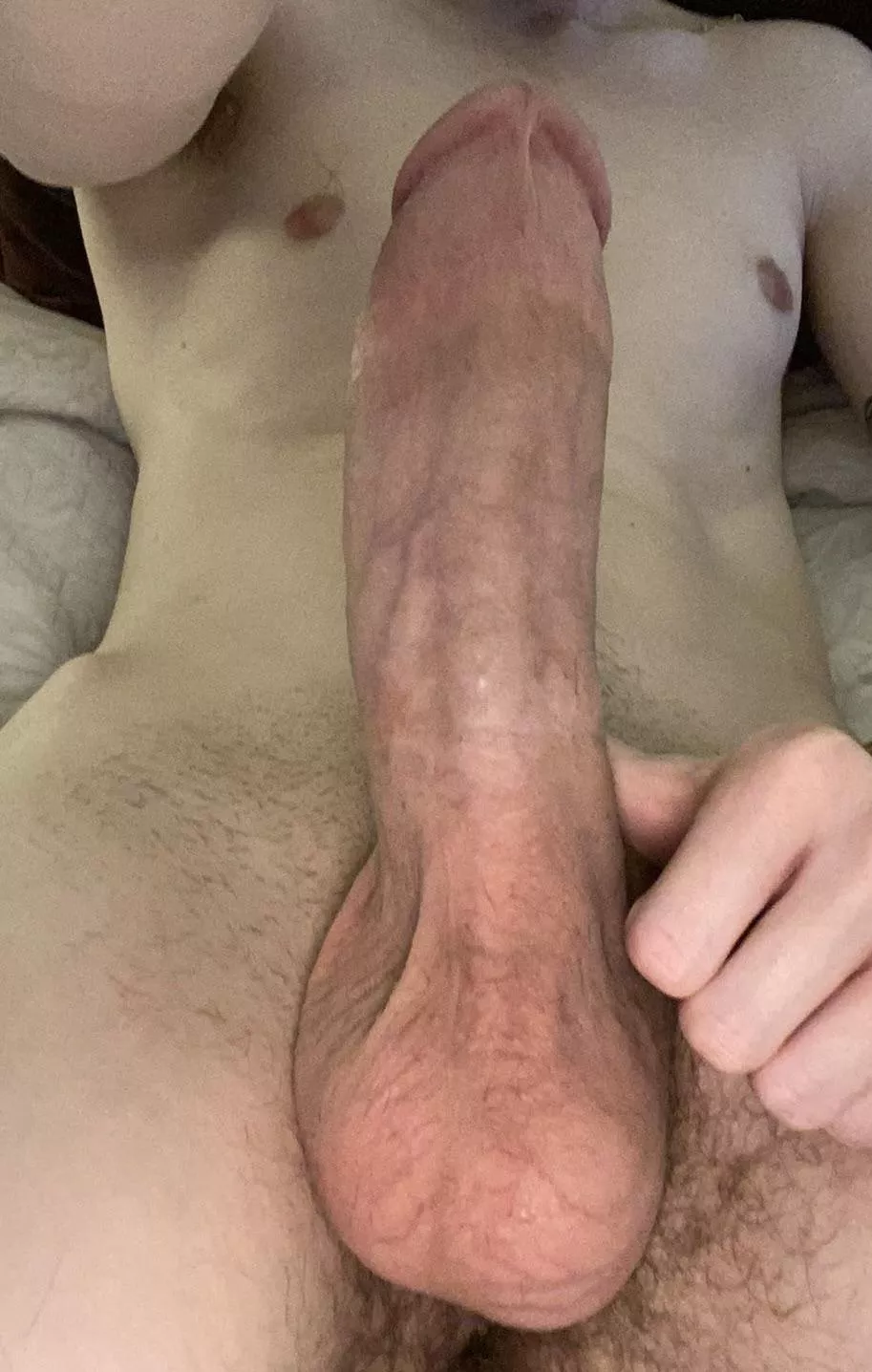 Do you prefer my 6 pack, my 8.5 inch cock, or my cum swollen balls? posted by Handsomehorsecock