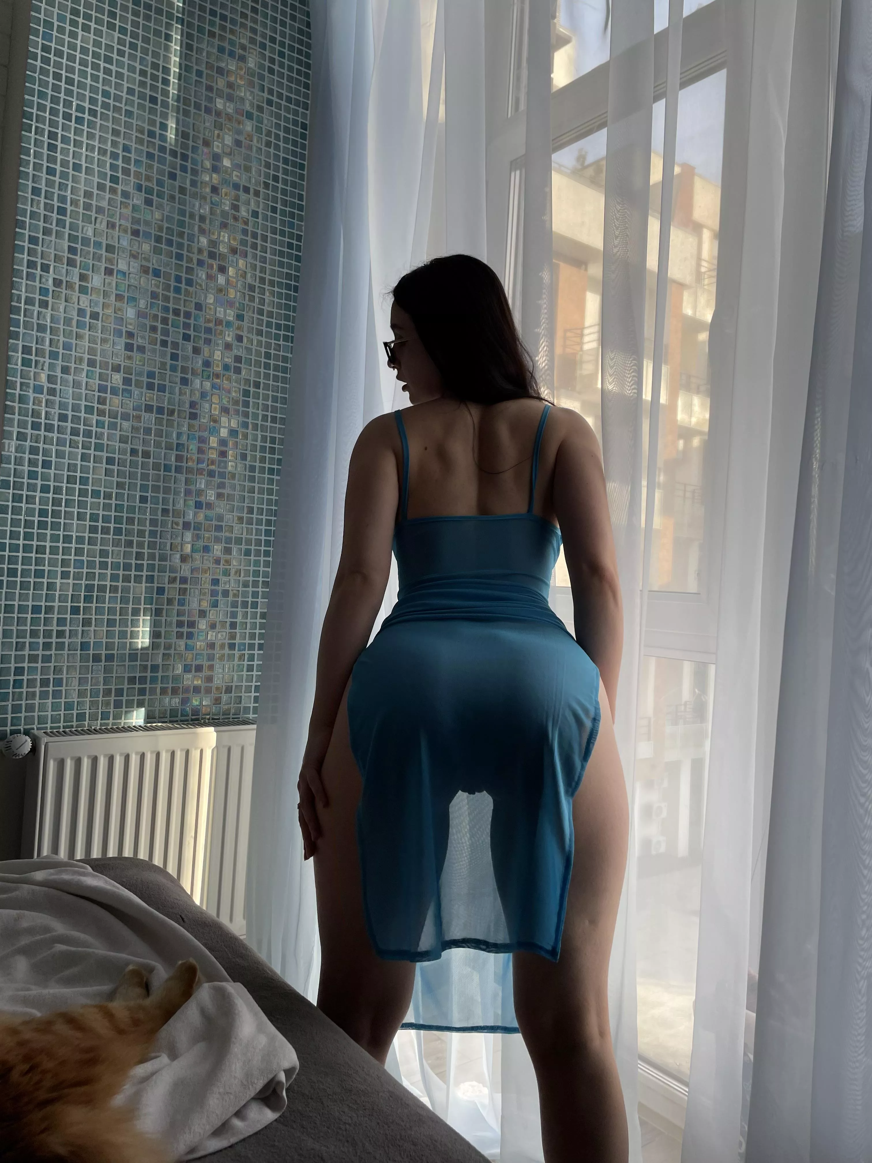 Do you see anything interesting there? posted by Mini_Kitt