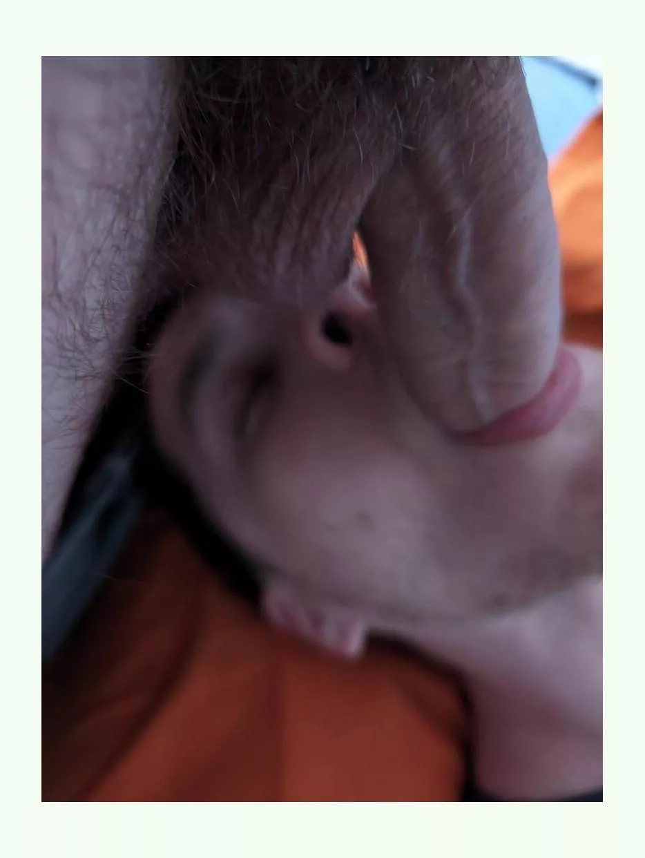 Feeding the Twink bextdoor posted by Consistent_Cloud_192