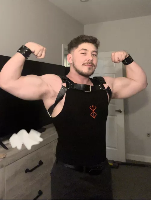 Had to bust out the harness for a concert so my girlfriend could walk me on her leash 😼 by Weird_Exchange_5166