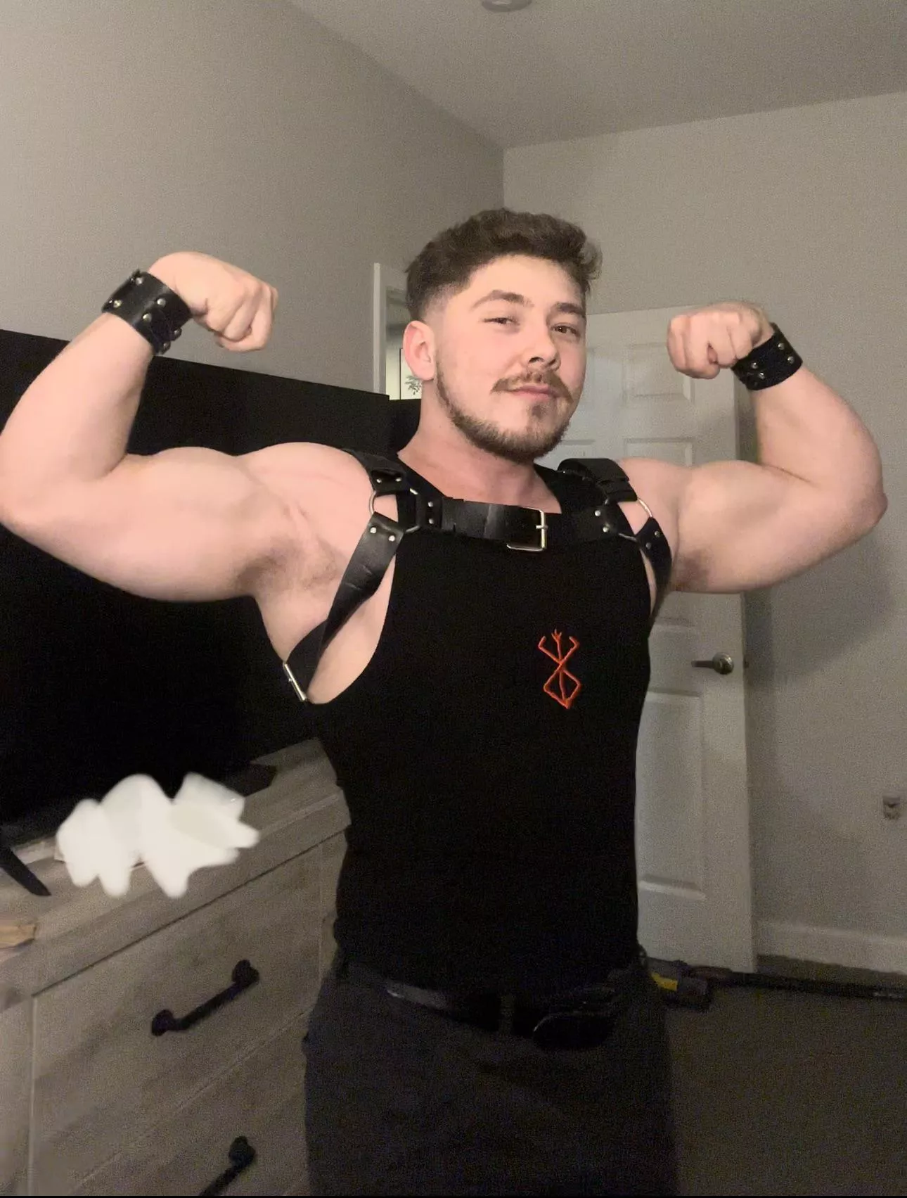 Had to bust out the harness for a concert so my girlfriend could walk me on her leash 😼 posted by Weird_Exchange_5166