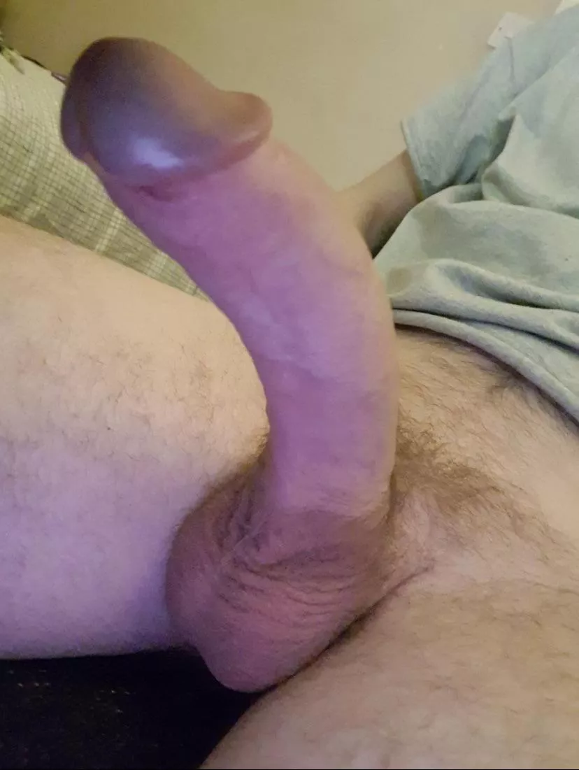 Happy Easter! Need something to bounce on? posted by Lasko639